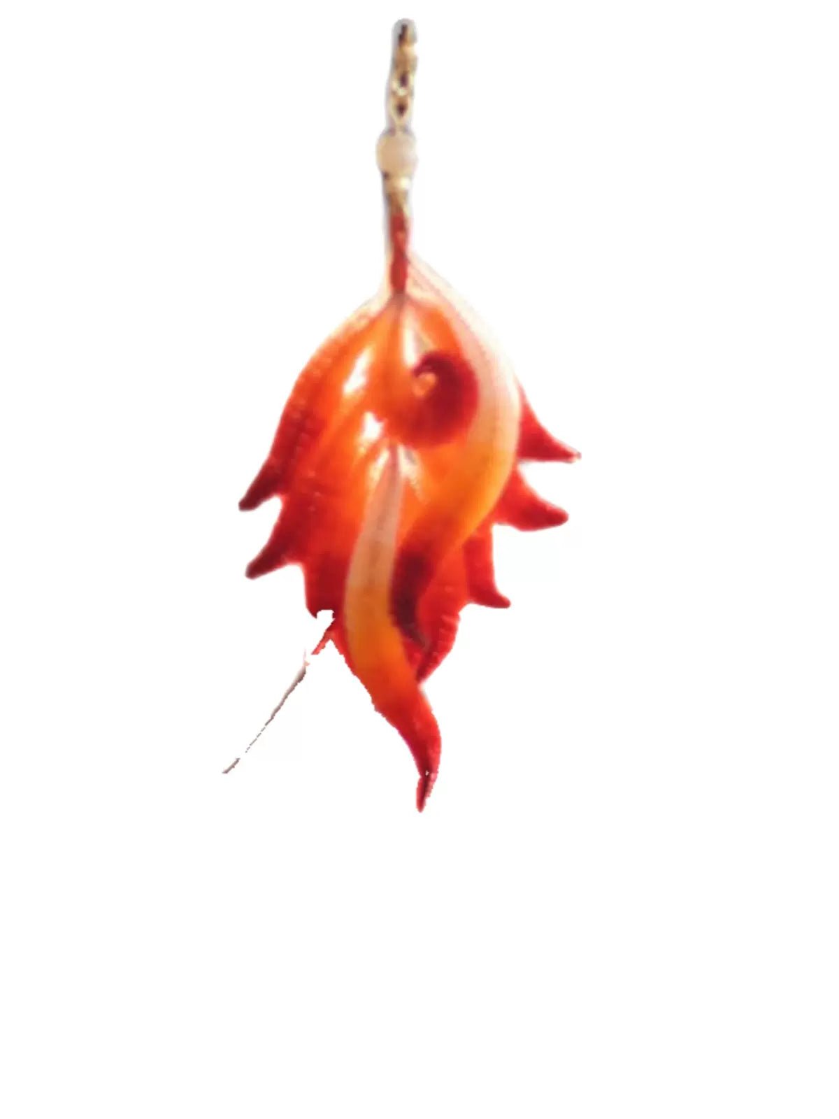 Phoenix Feather|Hanfu Matching earringshan fu Chinese han fu hanfu male tang dynasty clothes chinese hanfu tang dynasty outfits traditiona hanfu dress chinese hanfu chinese style dress dress fashion cheongsam dress q